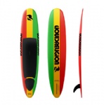 pintail color painting SUP board